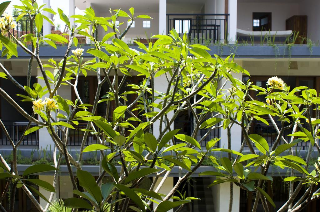 Nani House 2 Hotel Ubud Eksteriør billede